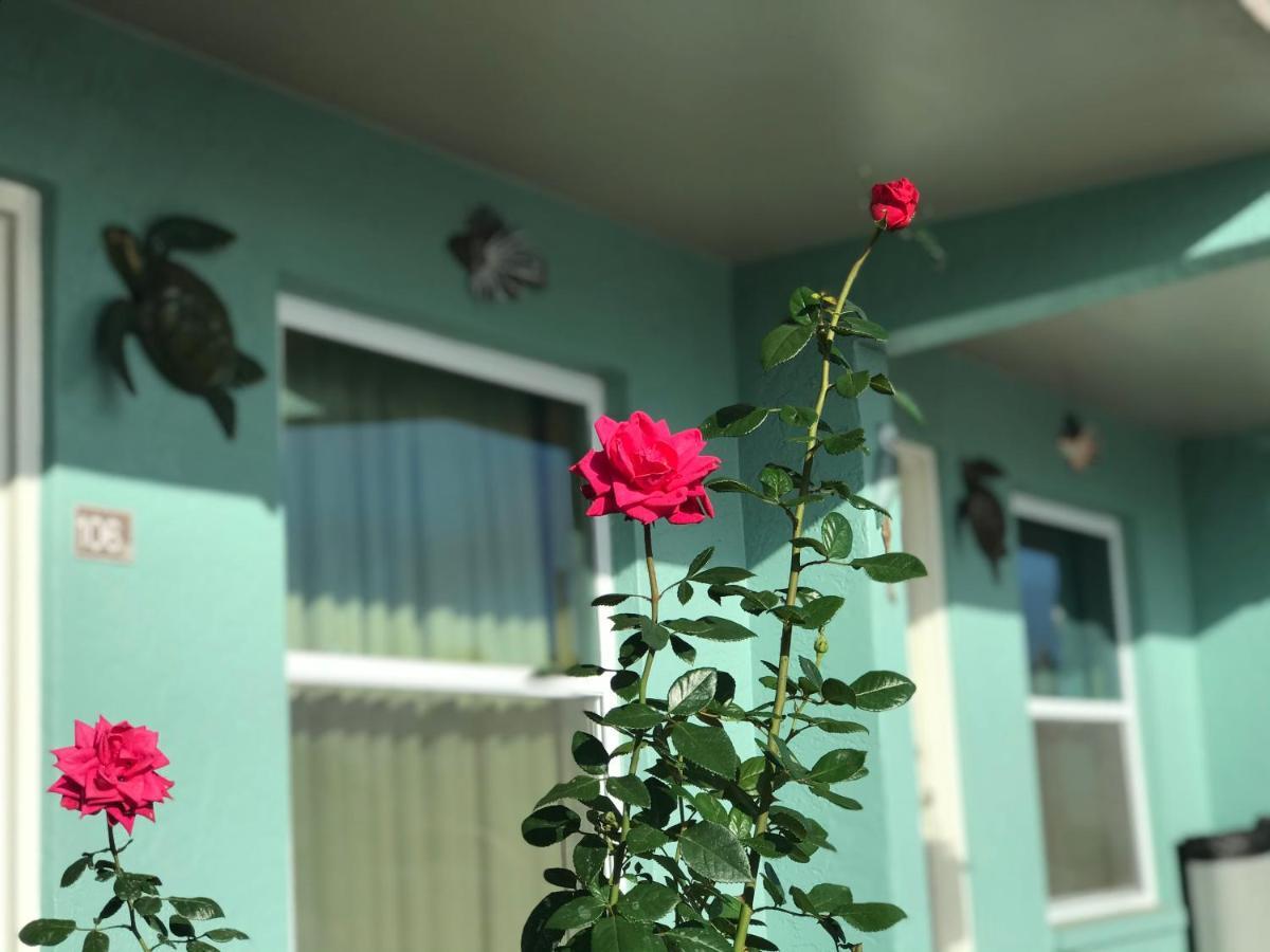 Immokalee Inn المظهر الخارجي الصورة